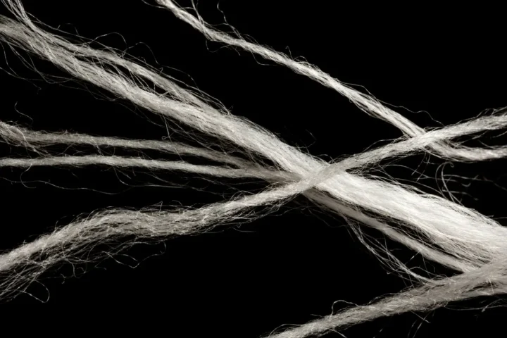 Fibras largas de algodón observadas en detalle